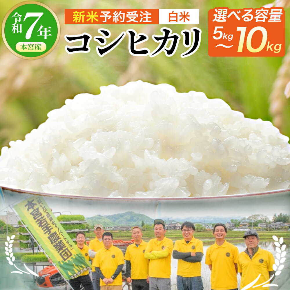 【ふるさと納税】【令和7年産 新米予約受注】【内容量が選べる！】福島県産コシヒカリ≪白米≫　5kg,10kgから選択 お米 おこめ コメ ご飯 ごはん こしひかり 精米 令和7年産 本宮市 福島県産 送料無料 本宮若手農業団　【07214-0392-0430】