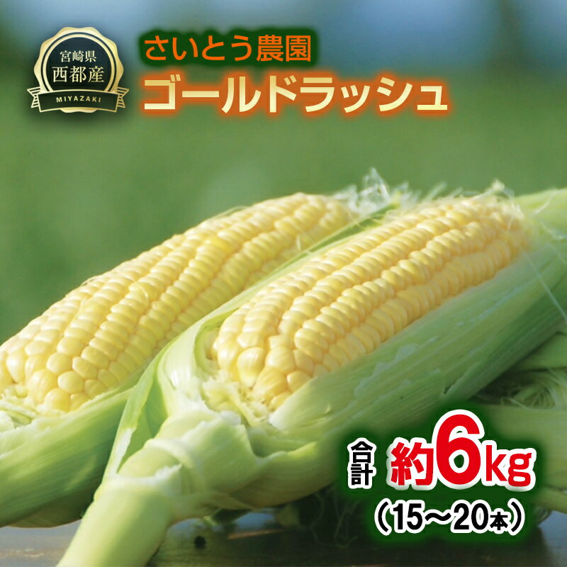 【ふるさと納税】『さいとう農園』朝どれ！ スイートコーン約6kg 15本～20本 ゴールドラッシュ【先行予約】＜1.1-48＞とうもろこし トウモロコシ★