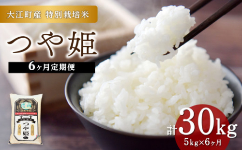 《6ヶ月定期便》大江町産 つや姫 5kg×6ヶ月(計30kg)【山形県産 特別栽培米】 【001-T30】