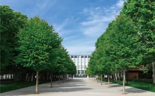 
            【返礼品なし】北海道科学大学への寄付
          