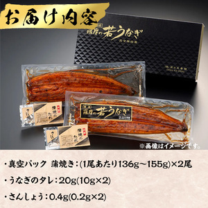 うなぎ 無投薬 鹿児島県産  (1尾あたり136g～155g×2尾) うなぎ 【西日本養鰻】A582