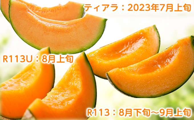 【2024年7～9月連続お届け】3品種 ふらの メロン 定期便 ≪計3玉≫ 北海道 富良野市 (高見農園) メロン フルーツ 果物 新鮮 甘い 贈り物 ギフト 道産 ジューシー おやつ ふらの