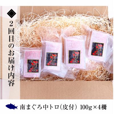 ふるさと納税 いちき串木野市 【3か月定期便】極上天然南まぐろ贅沢コース |  | 02