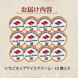 いちごカップアイスクリーム 120ml 12個入り アイスクリーム 苺 上杉農園