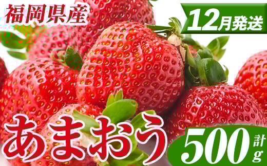 ＜先行予約受付中！2025年12月以降順次発送予定＞ 福岡県産 あまおう (計500g・250g×2パック) いちご イチゴ 苺 ストロベリー 果物 フルーツ おやつ デザート スイーツ 福岡県 小分け アマオウ 12月発送 期間限定 数量限定 冷蔵 【エフビーネット】as47-001