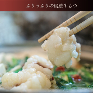 AA332.伊藤家.博多あごだし入り.もつ鍋しょうゆ味（2～3人前）【もつ鍋・醤油味】