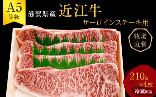 【最短1週間発送】 A5ランク 近江牛 肉 ステーキ 牛肉 雌牛 サーロインステーキ用 約210g×4枚 ふるさと納税 お肉 ブランド牛 黒毛和牛 滋賀県 豊郷町