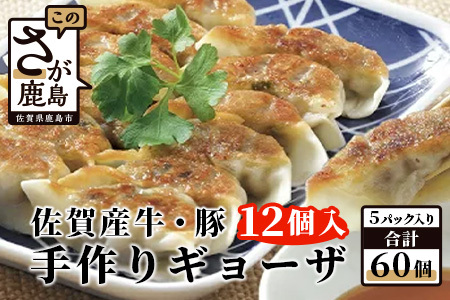 　佐賀産牛・佐賀産豚の手作りギョーザ　５パック B-86