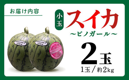 【先行予約】【数量限定】種ごと 食べられる 小玉スイカ 2玉 ピノガール【とみおか農園】[ZEM003]
