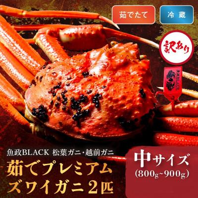 ふるさと納税 京丹後市 【魚屋から直送】訳あり茹でプレミアムズワイガニ 魚政BLACK中サイズ2匹(11月〜12月発送予定)