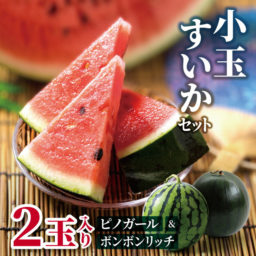 【ふるさと納税】【先行受付：2026年発送】小玉すいかセット（ボンボンリッチ＆ピノガール）2玉入り │ すいか スイカ ボンボンリッチ ピノガール 野菜 夏 果物 新鮮 自然 甘い 美味しい 波田 長野県 信州 松本 ふるさと納税