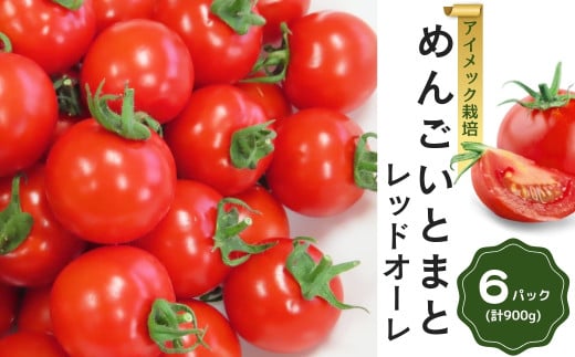 めんごいとまと TYレッドオーレ 150g×6パック ( 計900g ) 2026年1月発送 めんごいとまとたむら アイメック栽培 ミニトマト トマト プチトマト 冬トマト 野菜 農家直送 ギフト プレゼント 新鮮 福島県 田村市 堀越農園