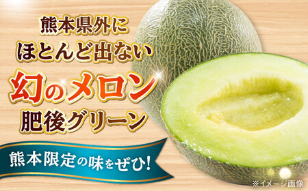 【先行予約】【数量限定】肥後グリーンメロン 1玉 計約2kg 【合同会社 福福堂】[AYAC053]