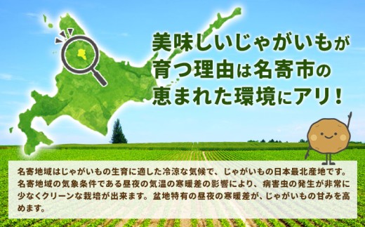 北海道名寄市産 じゃがいもと玉ねぎセット 10kg じゃがいも 5kg 秀品 玉ねぎ 5kg《2026年10月上旬-12月上旬出荷予定》北海道 名寄市 野菜 旬 カレー グラタン コロッケ じゃがバタ