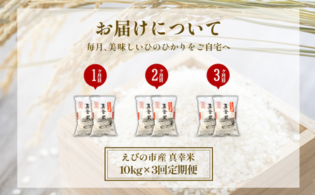 【令和7年度】【3回定期便】 限定品 えびの産 ヒノヒカリ 真幸米(まさきまい) 10kg×3ヶ月 米 ひのひかり お米 精米 白米 宮崎県産 九州産 送料無料 こめ おにぎり お弁当