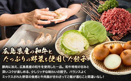 広島県産和牛ブレンド生餃子 ２袋（1袋14個入り） NPO法人nina神石高原《60日以内に出荷予定(土日祝除く) 》広島県 神石高原町 生餃子 中華 和牛 ブレンド 野菜