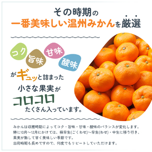 みかん コロ丸 小みかん 瀬戸内 みかん【約3kg】【先行予約】
