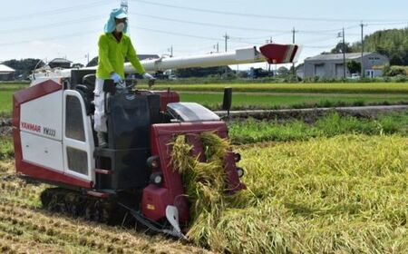 【3ヶ月定期便】利根町産【特別栽培米】コシヒカリ　精米5kg×3回 ／ お米 コメ こめ ごはん コシヒカリ 白米 精米 5kg 特別栽培 令和7年産 新米 定期便 3回 茨城県 利根町