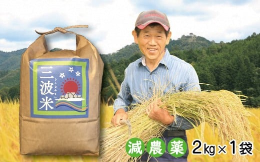 【新米予約】減農薬 三波農地を守る会のコシヒカリ 2㎏（2kg×1袋） 令和6年産 新米予約 減農薬 コシヒカリ お米 安心 安全 良質 美味しい 計2㎏ お試し 竹田城跡 三波地区 きれいな水【AS2AB21】