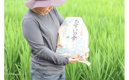 【6ヶ月定期便】新潟県産コシヒカリ 5kg×6回お届け（合計30kg）特別栽培米『ひすいの雫』令和5年産 糸魚川 こしひかり