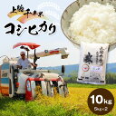 【ふるさと納税】米上総千年米 コシヒカリ 10kg 令和6年産 | 送料無料 お米のソムリエ が 厳選 白米 精米 粒立ちが大きく 甘みもあり 粘り強い お米と雑穀の専門店 石川商店 君津 きみつ 千葉