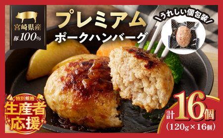 宮崎県産豚プレミアムハンバーグ(計15個) 肉 豚肉 加工品 惣菜 国産_T001-0111