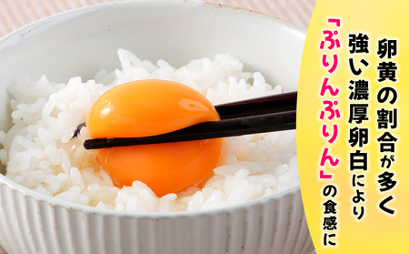 烏骨鶏 たまご 10個『北川鶏園 房総のあおぞら農場』｜鶏卵 [0249ch]