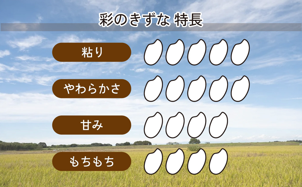 米 新米【令和7年産米】埼玉県ブランド米 5kg 彩のきずな