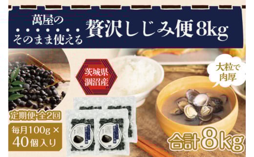 【2ヶ月定期便】涸沼産冷凍しじみ中粒４kg（100g×40p）【シジミ 中粒しじみ 産地直送 砂抜き済み 砂抜き 小分け包装 味噌汁 みそ汁 茨城県】（CA-21）