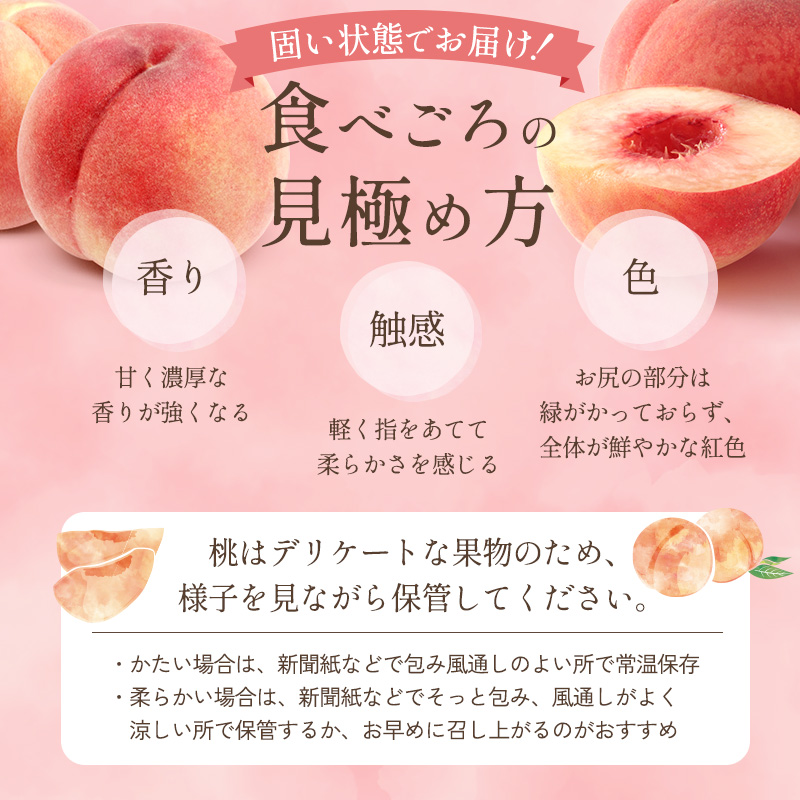 【オンライン決済限定】【2026年8月上旬～発送予定】 先行予約 「浅間水蜜桃プレミアム」 もも あかつき 秀品 約2kg 5～9玉 贈答品 ふるさと納税 果物 桃 フルーツ モモ 果肉  長野県産 小諸市