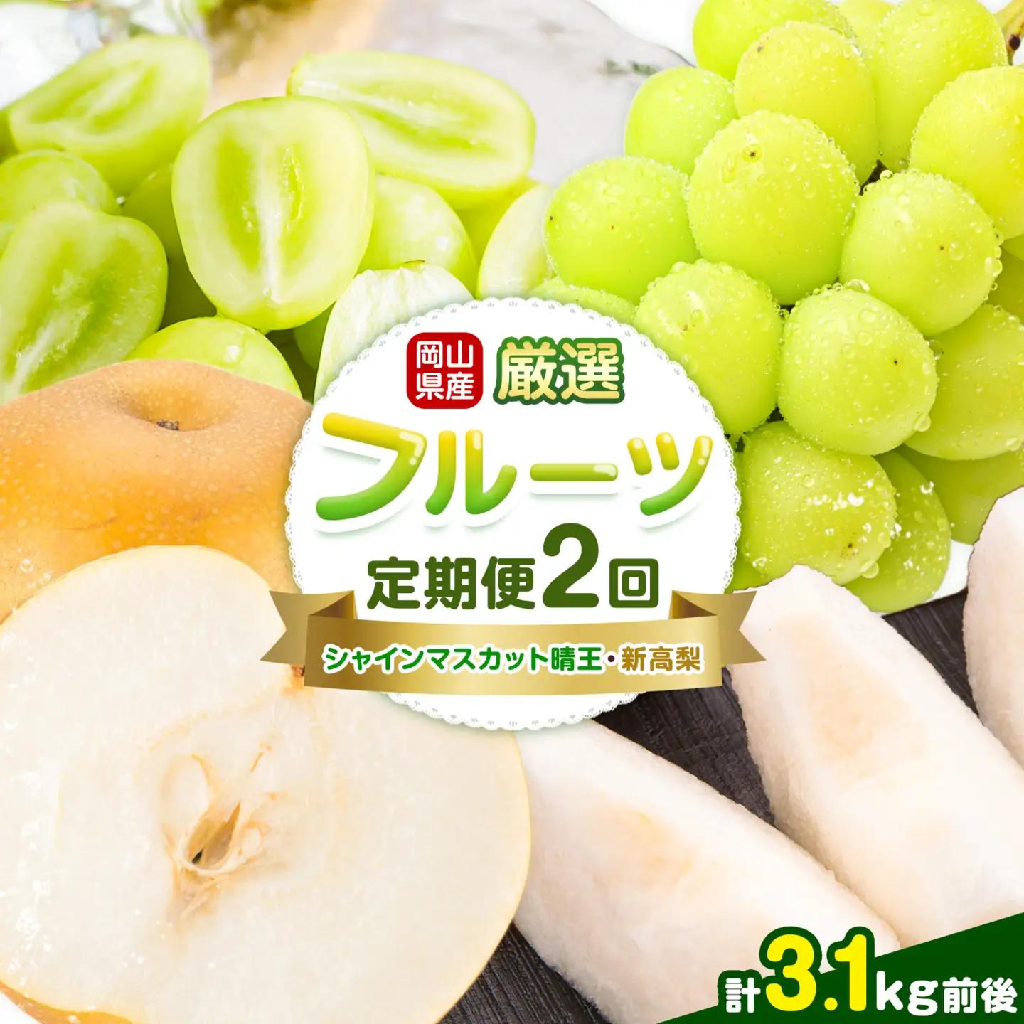 岡山県産 厳選 フルーツ 定期便 2回 シャインマスカット 晴王 新高梨 計3.1kg前後 株式会社藍