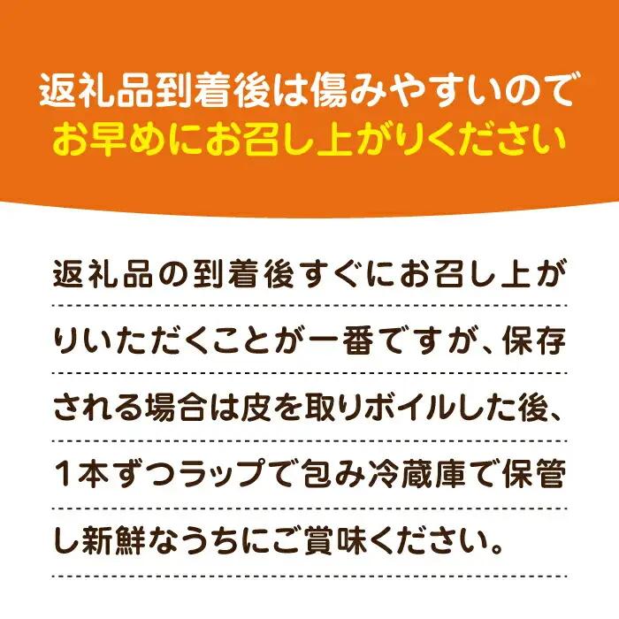 【先行予約】農家直送 朝どれ スイートコーン 白黄 食べ比べセット 約4kg 9-12本入[VBC002] 野菜 コーン