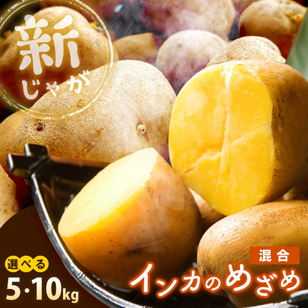 【ふるさと納税】《！数量限定！》【選べる内容量！】【新じゃが】インカのめざめ 混合サイズ | 野菜 じゃがいも ジャガイモ 芋 いも 馬鈴薯 新じゃが 新じゃがいも インカのめざめ インカの目覚め インカのめざめ5kg 10kg 煮物 揚げ物 お取り寄せ 北海道 恵庭市 恵庭