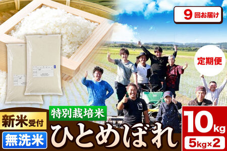 《新米予約》《定期便9ヶ月》令和8年産【無洗米】特別栽培米 ひとめぼれ 10kg（5kg×2袋）秋田県産 [ひとめぼれ 米 お米 白米 精米 無洗米 特別栽培米 ブランド米 食卓 秋田県産 秋田県 由利本荘市]