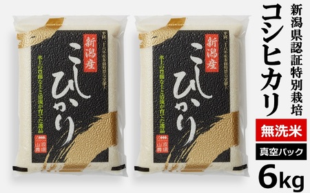 【令和7年産米】真空パック 特別栽培米 コシヒカリ 無洗米 6kg（3kg×2袋） 山波農場のお米 新潟県産 [Y0061]