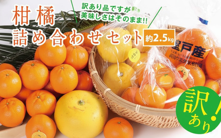 【 期間限定 】柑橘詰め合わせセット 約2.5kg  フルーツ 果物 みかん ミカン