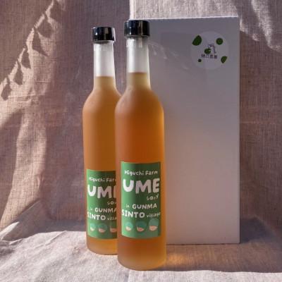 ふるさと納税 榛東村 梅シロップ 510ml×2本 |  | 01