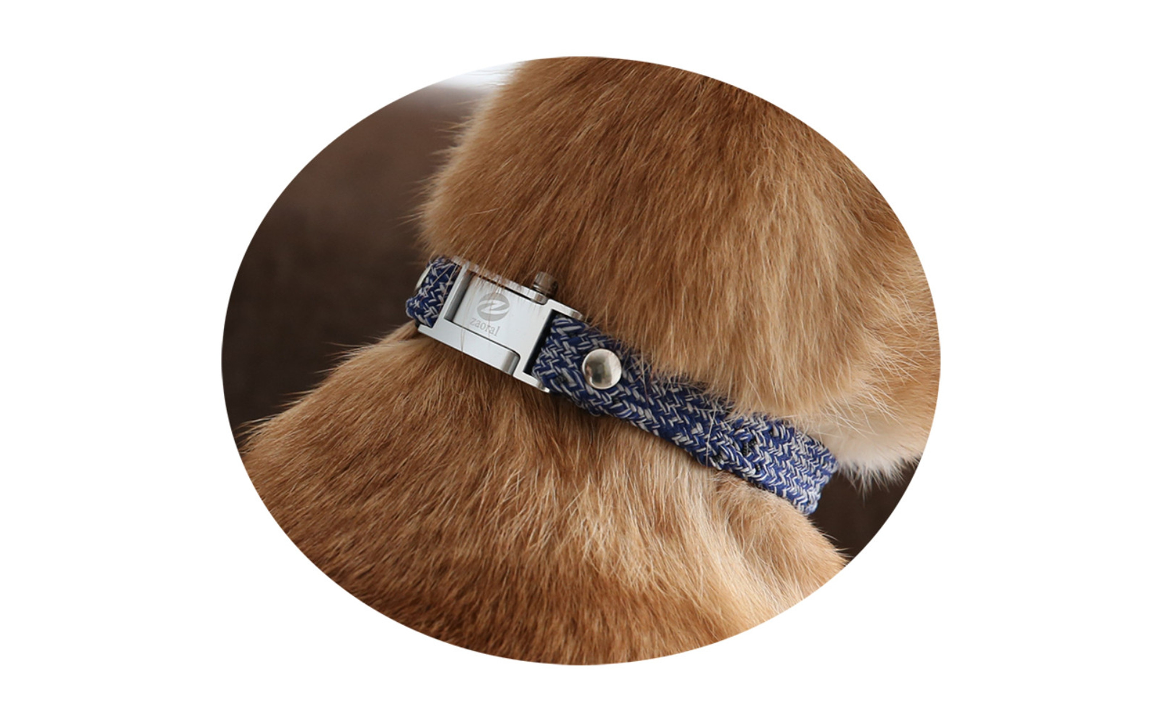 【Size29cm】ザオラル・リカバリーαバンド NV/SI｜横浜市 高機能バンド ペット用アクセサリー