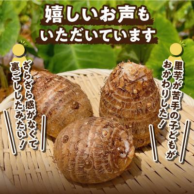 ふるさと納税 知名町 里芋(石川早生丸)(2kg) |  | 01