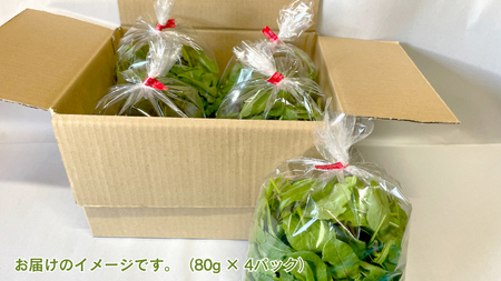 黒澤農園 の ベビーリーフサラダ （ 80g × 4パック ）ファミリーサイズ ベビーリーフ サラダ 生野菜 食べやすい 若葉 ファミリー 旬 新鮮 国産 彩り 大容量