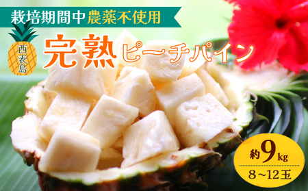 2026年 先行予約 西表島の完熟ピーチパイン 9kg (8〜12玉)【嘉本商店 完熟 果物 フルーツ】お届け：5月中旬～6月中旬頃