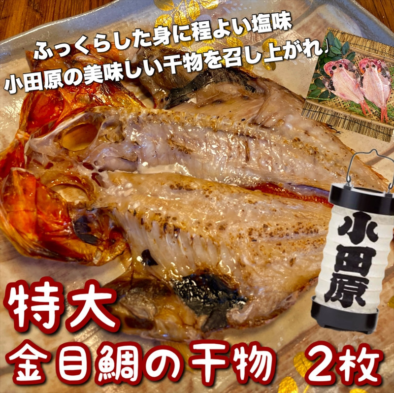 超特大金目鯛の干物 2枚 142069_DQ147