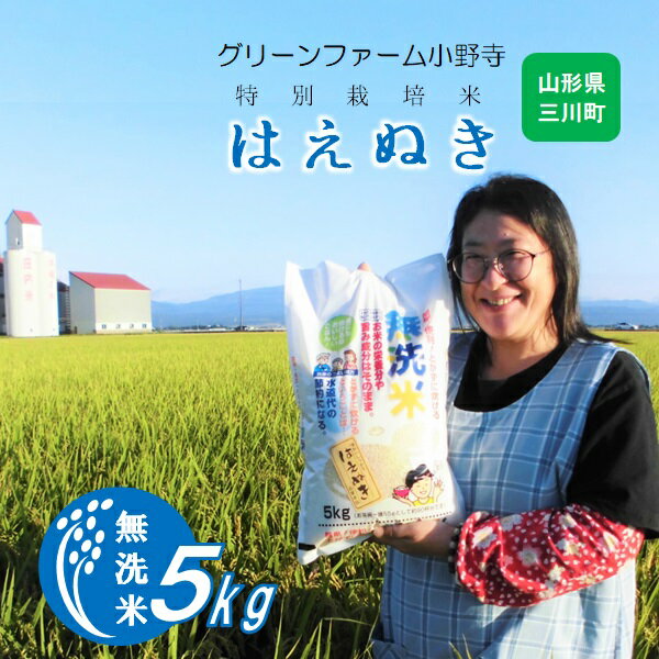 【ふるさと納税】グリーンファーム小野寺の【無洗米】はえぬき5kg（グリーンファーム小野寺）