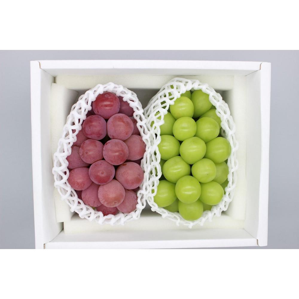 【ふるさと納税】シャインマスカット＆クイーンニーナ　計約1.2kg(各1房）【2026年発送】 | フルーツ 果物 くだもの ぶどう ブドウ シャインマスカット クイーンニーナ 国産 岡山県産 食品 人気 おすすめ 先行予約 送料無料 ギフト 贈り物 贈答品 プレゼント