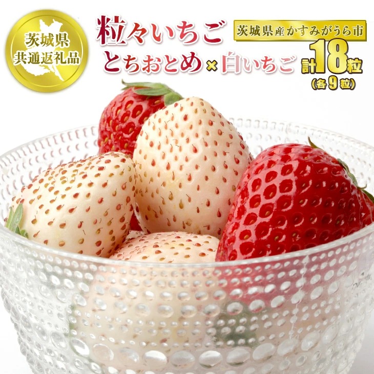 粒々いちご18粒　とちおとめと白いちご【茨城県共通返礼品　かすみがうら市産】　※2024年12月下旬～2025年1月下旬頃に順次発送予定