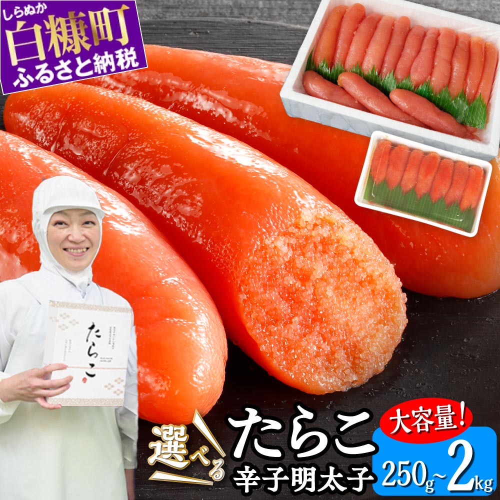 ふるさと納税 海鮮 たらこ 明太子 【1kg】（クラウドファンディング対象）