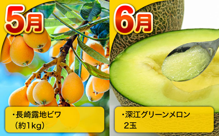 【12回定期便】長崎・南島原グルメ バラエティ定期便 / バラエティ セット 野菜定期便 フルーツ定期便 フルーツ 果物 野菜 やさい そうめん 角煮 皿うどん ちゃんぽん / 南島原市 / 贅沢宝庫