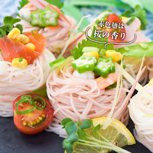 セキカワのハッピーキャンプ紅白そうめんセット【 お祝い 乾麺 そうめん セキカワカナモノ J46_01 】 