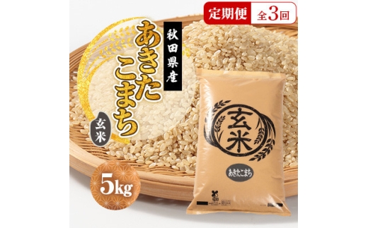 ＜毎月定期便＞あきたこまち 玄米 5kg全3回【4080837】