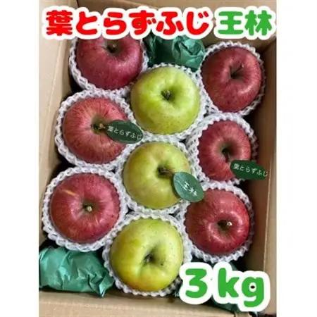(2026年産予約)【青森市産　完熟葉とらずふじ・王林】約3kg 8～12玉(家庭用)【1181967】